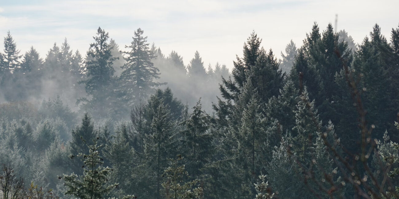 Lumo House programmatisches SEO-Projekt